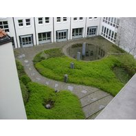 Návrh zahrady - atrium