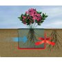 PlantBox L - květináč - koš na vodní rostliny