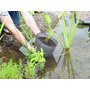 PlantBox L - květináč - koš na vodní rostliny